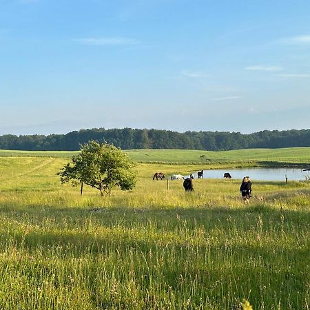 Projekt Stajnia - Nadmorski Osrodek Jazdy Konnej - Noclegi Łazy Dış mekan fotoğraf